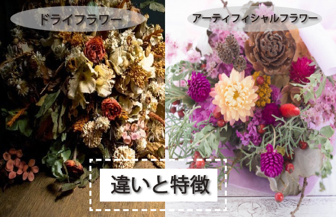 ドライフラワーとは？ブリザーブドフラワーとの違いを解説 - Angel  