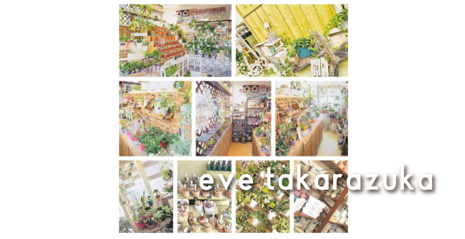 宝塚で植物とオーナメントのお店と言えば「eve takarazuka」