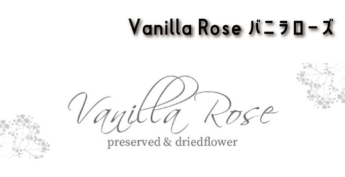 プリザーブド＆ドライフラワーを創るなら「Vanilla Rose　バニラローズ」