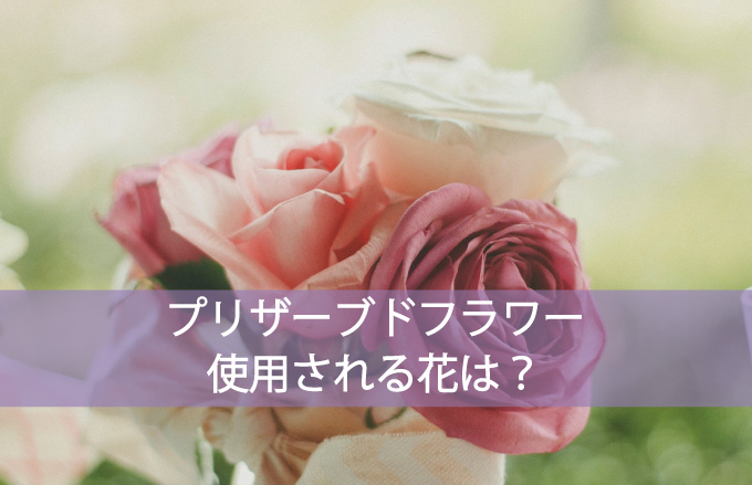 プリザーブドフラワーで使用される生花の種類とは？