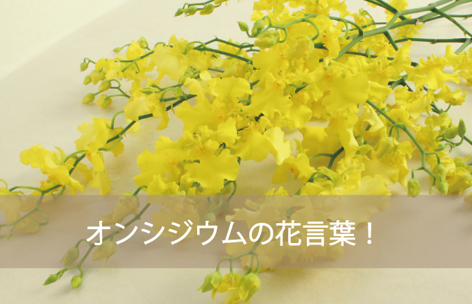 オンシジウムの花言葉