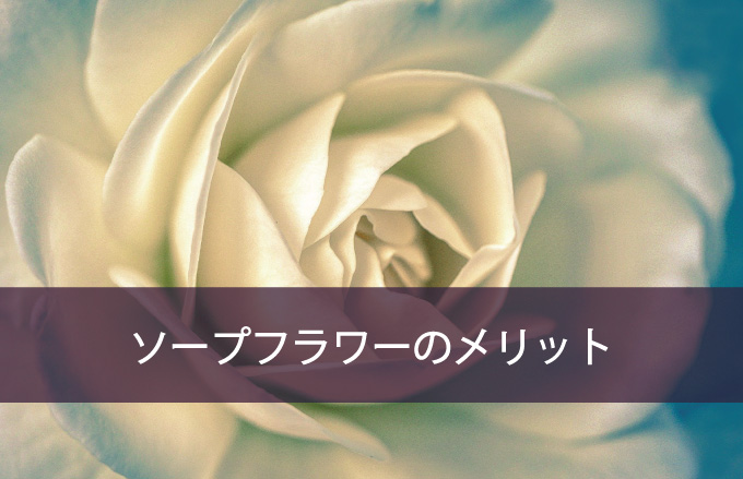 他のお花と比べてソープフラワーのメリットは？