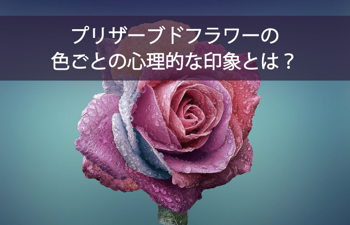 プリザーブドフラワーの色ごとの心理的な印象とは？