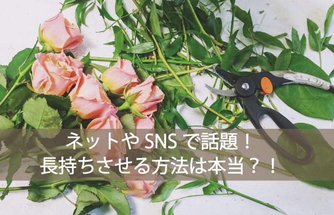 ネットやSNSで話題の生花を長持ちさせる方法は本当なのか？！